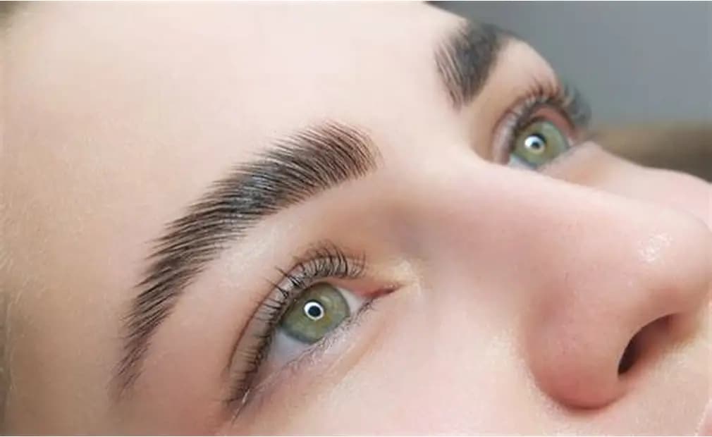 Eyebrow Lamination